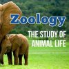2:6 - Monday - Science: Zoology